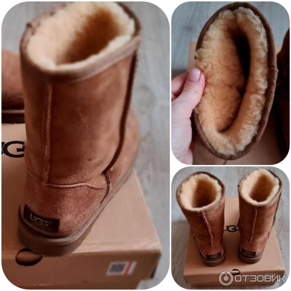 Женские угги UGG Australia Classic Short фото