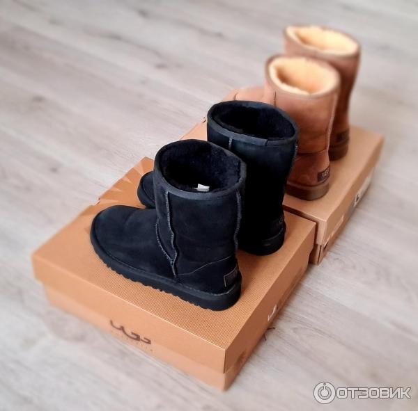 Женские угги UGG Australia Classic Short фото