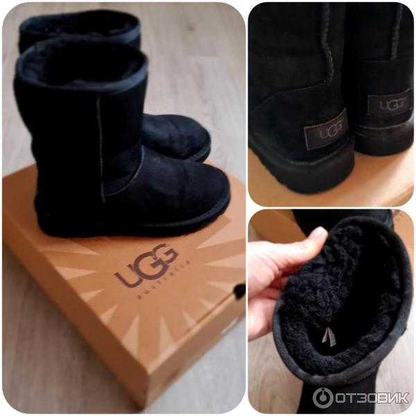 Женские угги UGG Australia Classic Short фото