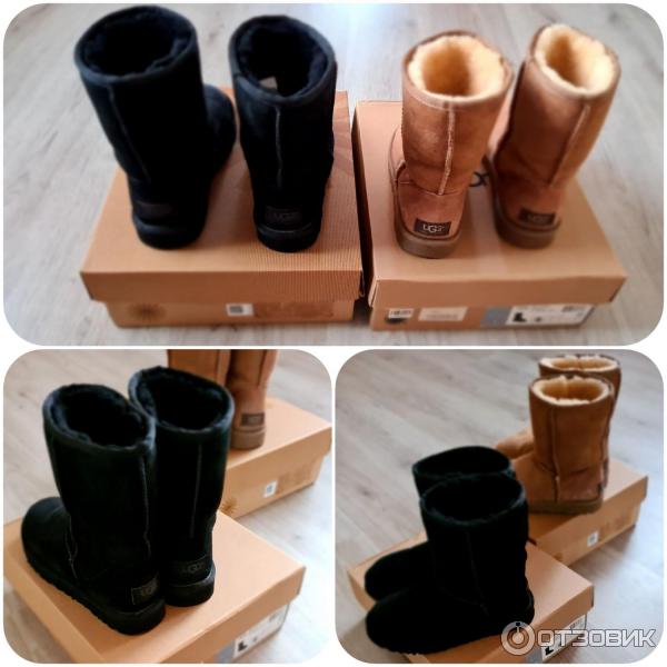 Женские угги UGG Australia Classic Short фото