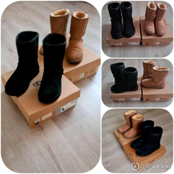 Женские угги UGG Australia Classic Short фото