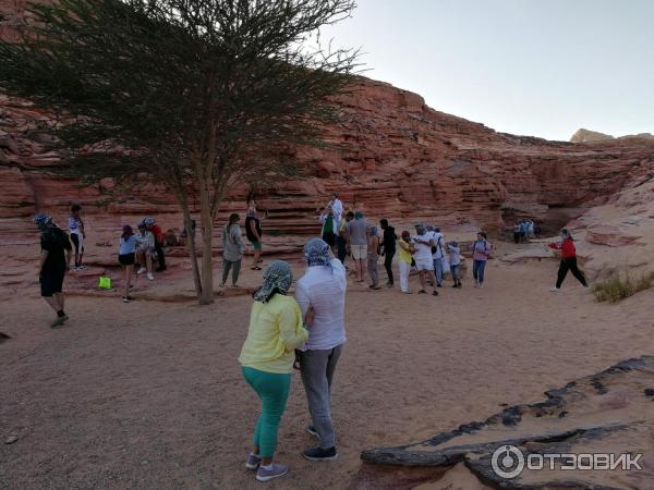 Библио глобус египет шарм эль шейх туры. Библио глобус египет шарм эль шейх туры. Библио глобус тур в египет. Библио глобус египет шарм эль шейх туры. Библио глобус египет шарм эль шейх туры.