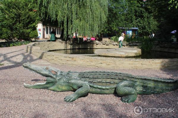 Одесский зоопарк (Украина, Одесса) фото