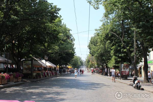 Городской сад (Украина, Одесса) фото