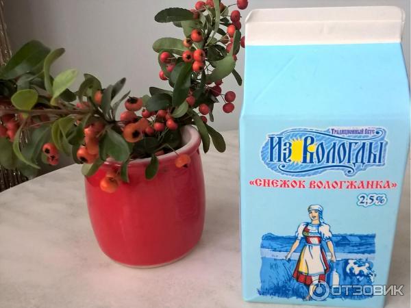 Молочный продукт Вологодский молочный комбинат Снежок Вологжанка фото