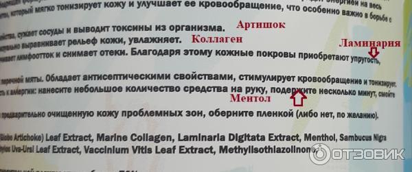 Холодное антицеллюлитное обертывание MoDAmo с морским коллагеном и ментолом фото