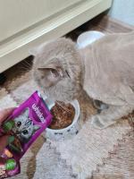 Продукция Whiskas фото