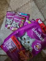 Продукция Whiskas фото
