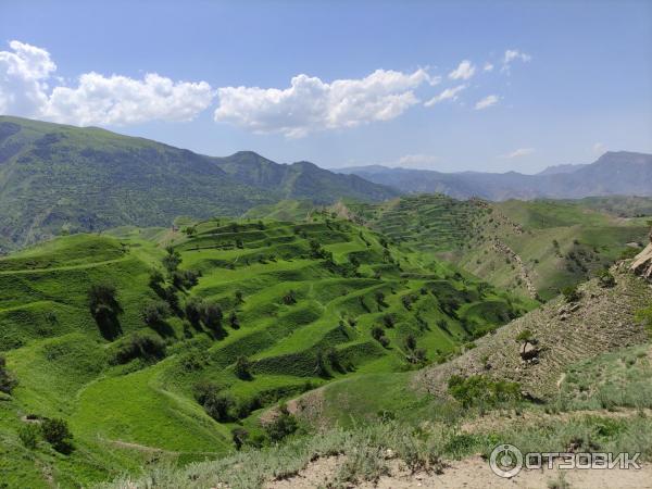 Экскурсия по старинному селу Гамсутль (Россия, Дагестан) фото