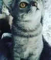 Бонятка